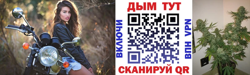Где купить наркотики Западная Двина Кокаин  Бошки Шишки  Меф  МЕТАДОН  ГАШИШ 